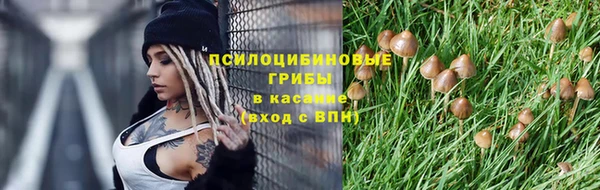 амф Осташков