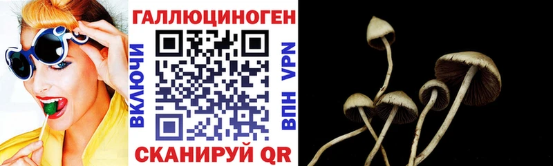 Галлюциногенные грибы прущие грибы  Купить где  Калининск 